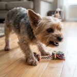 how stop yorkie resource guarding